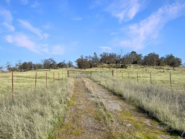 a view of a lake with houses in the back