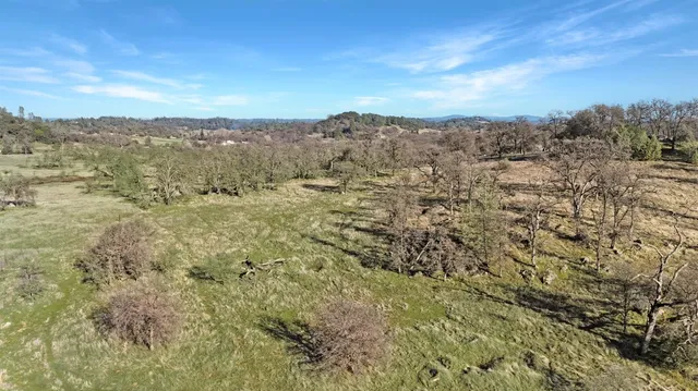 a view of a city with lush green forest