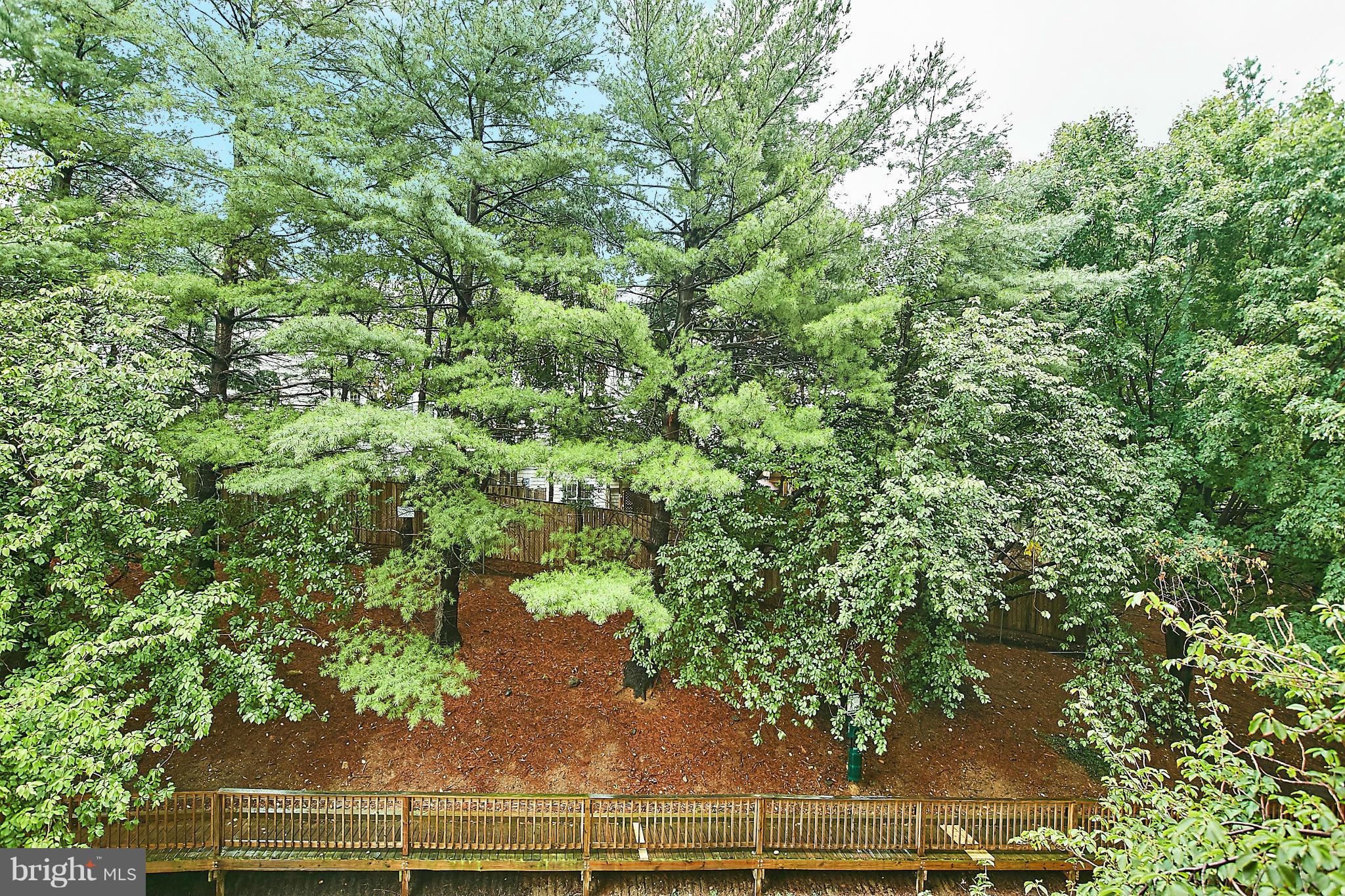 5911 Edsall Road, Unit 401 Alexandria, VA 22304 - Photo 25 of 30 Community