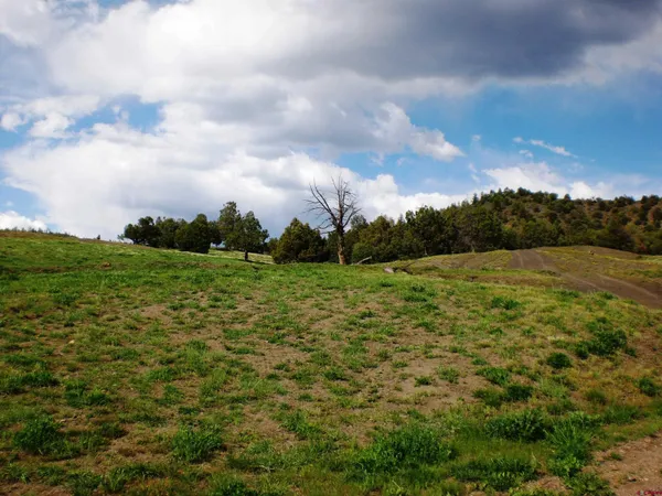 a view of an outdoor space and a yard