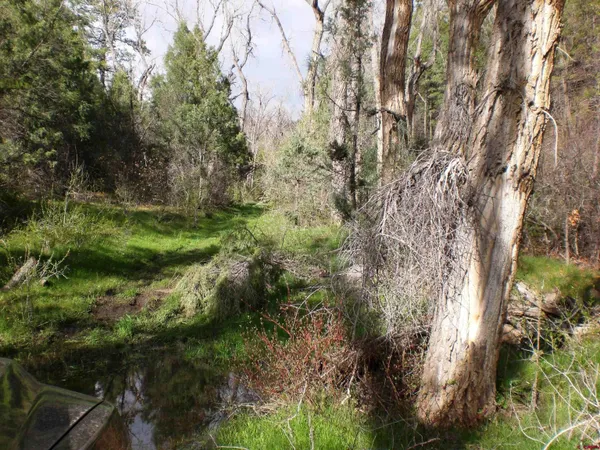 a view of a lake view