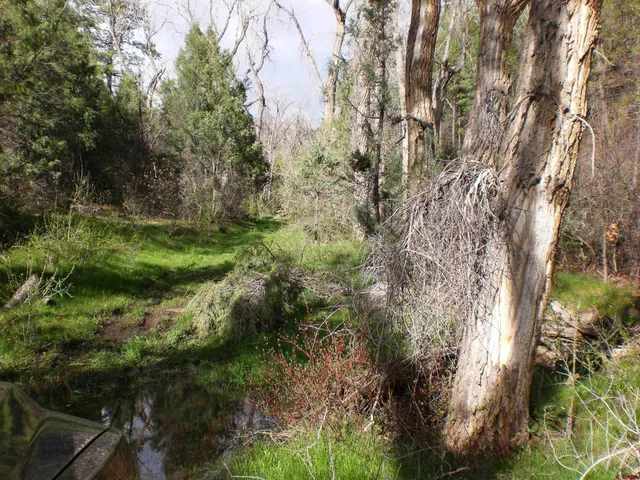 a view of a lake view