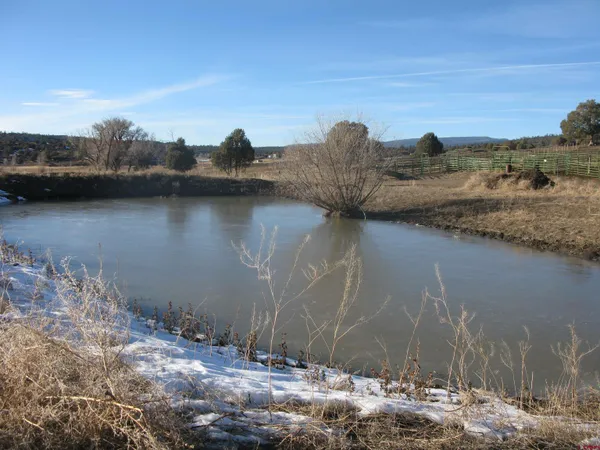 a view of a yard with plants