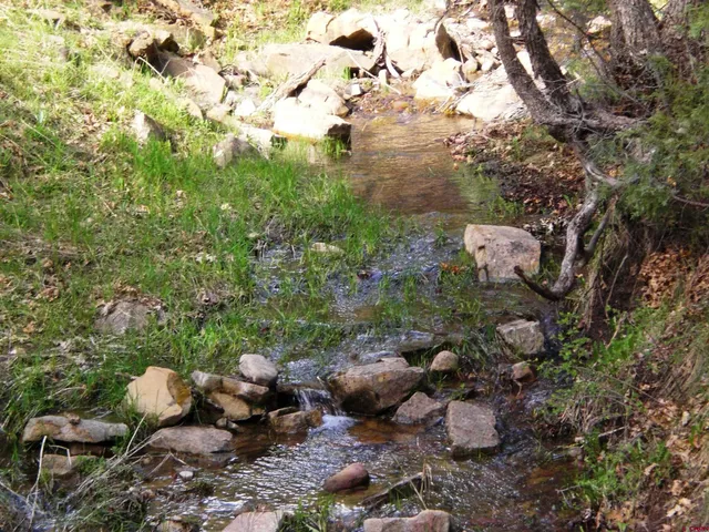 a bunch of flowers in a garden