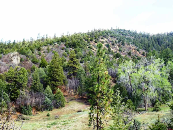 a view of a grassy field with mountain