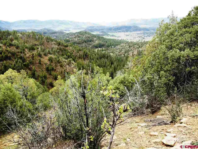 a view of a forest with mountains in the background