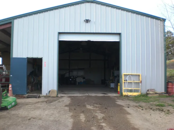 a view of a park with large trees