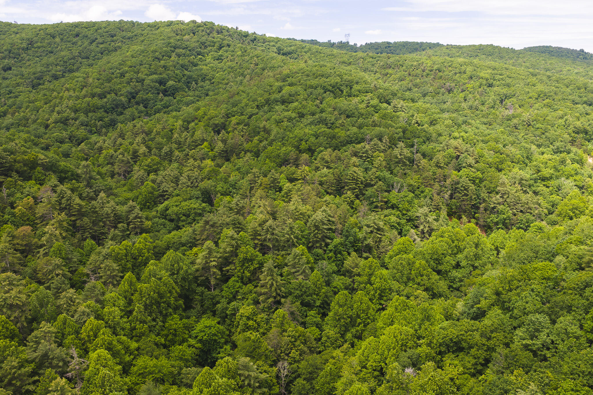 Tbd Macks Mountain Road Northwest Indian Valley, VA 24105 - Photo 2 of 45 DJI_20260601141559_0045_D