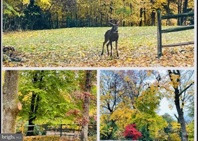 a view of swimming pool from a yard