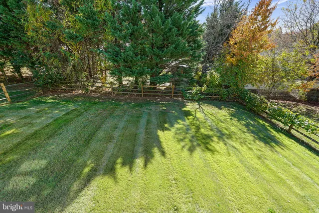 a view of a house with a yard and large tree