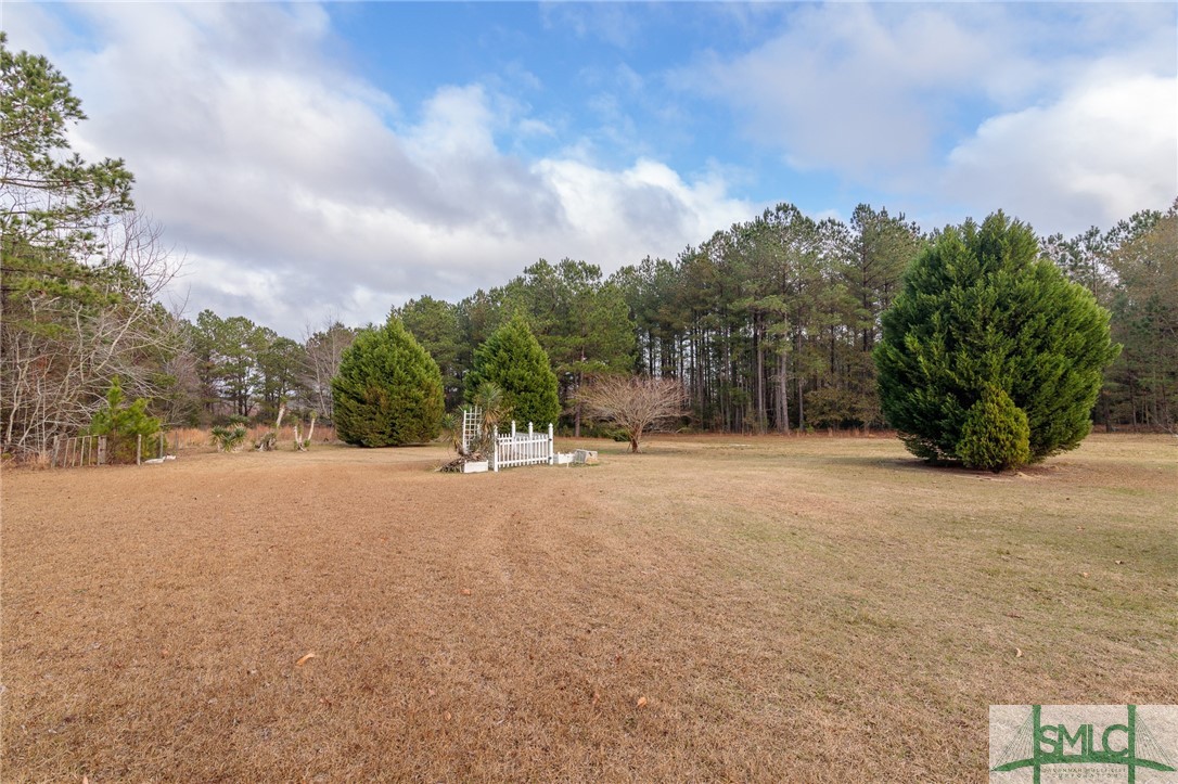 1357 Honey Road Sylvania, GA 30467 - Photo 4 of 24 Gallery Image 4