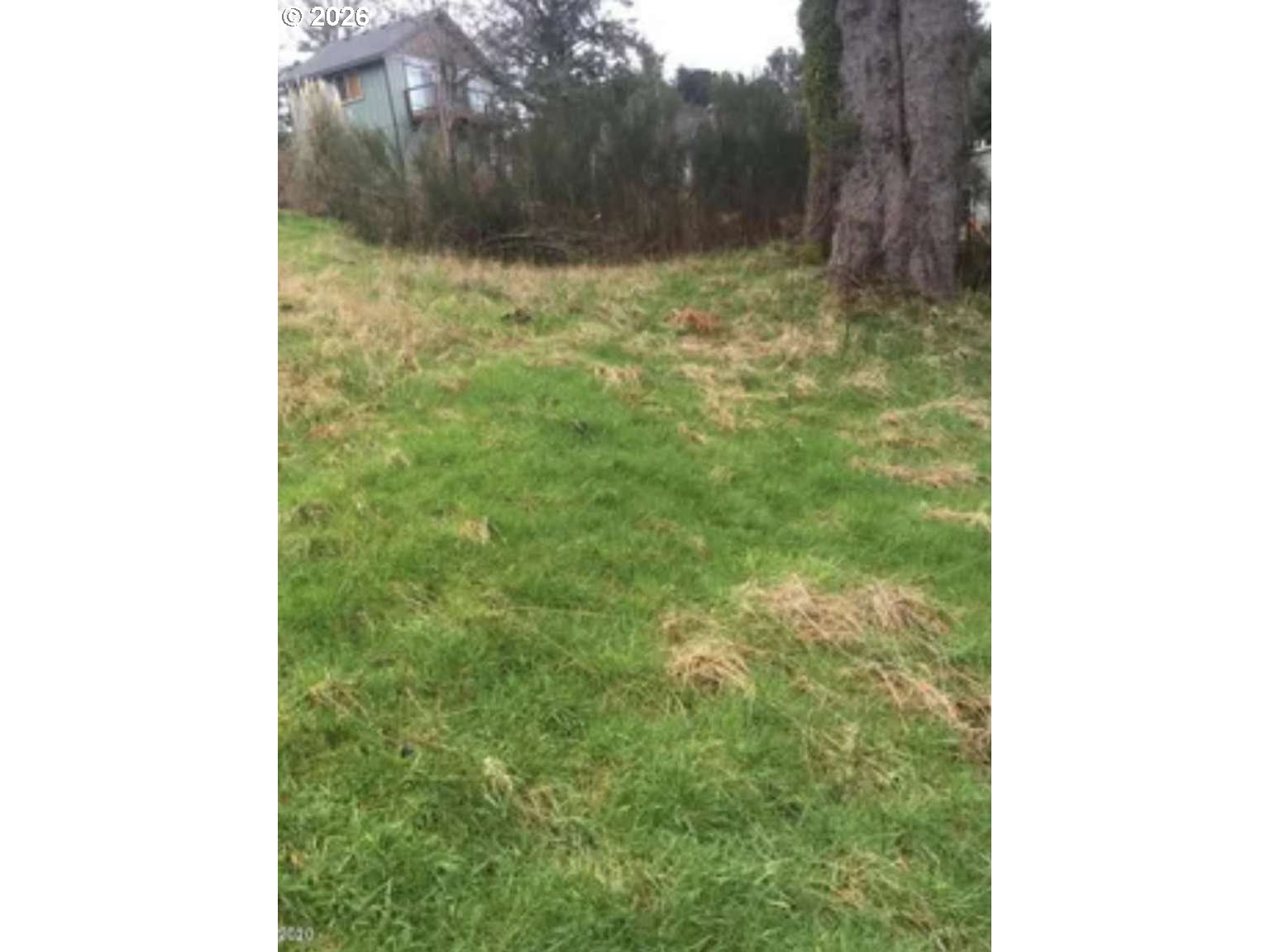 5575 Ocean Creek Road Neskowin, OR 97149 - Photo 5 of 5 a view of a yard