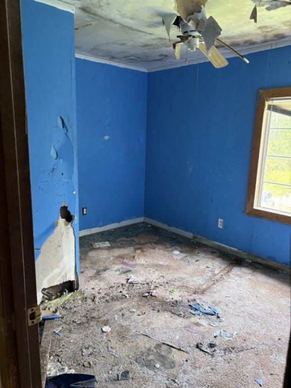 582 Curran Road Manchester, NY 14548 - Photo 13 of 15