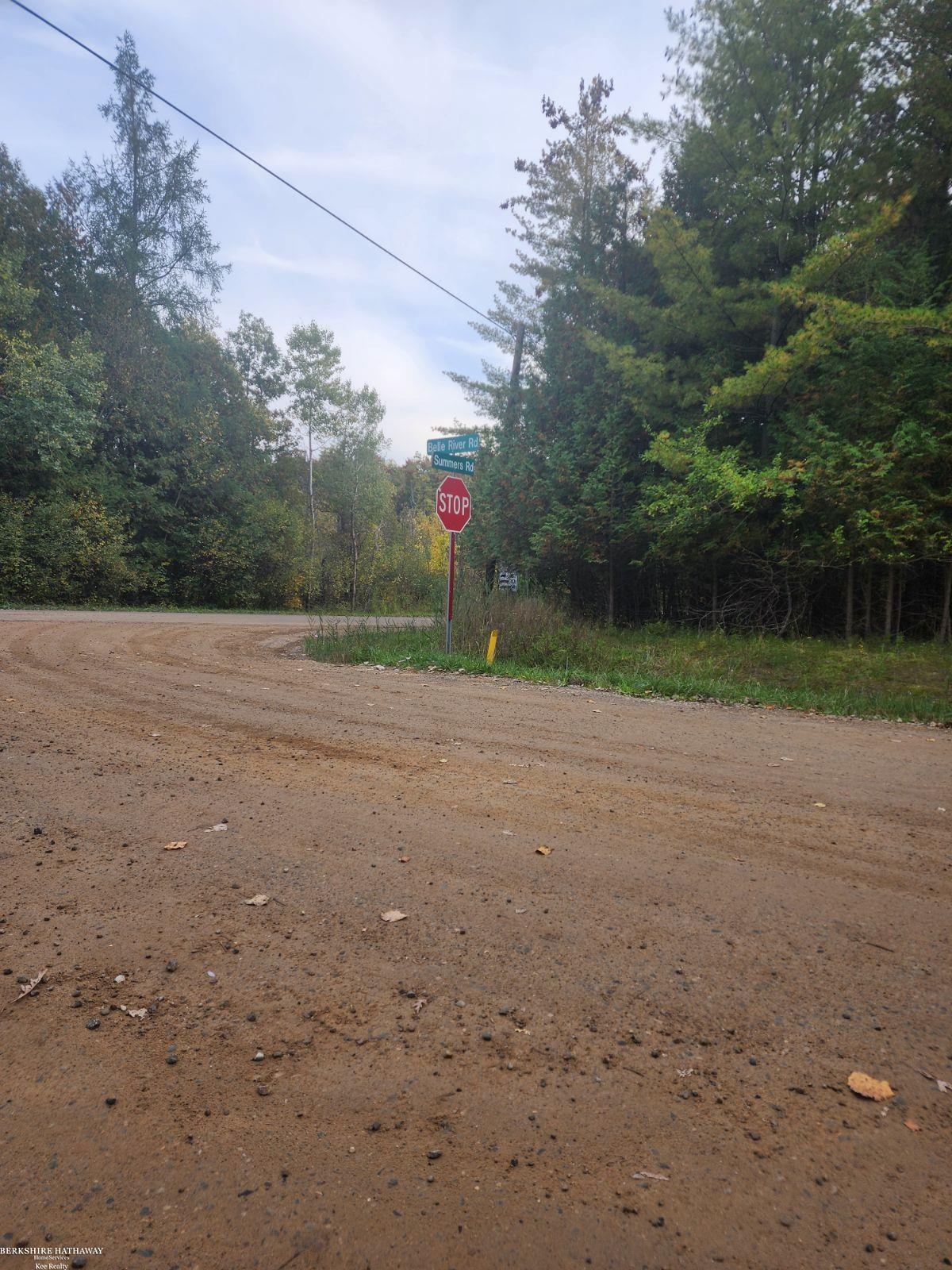 0 North Summers Road Imlay City, MI 48444 - Photo 7 of 11