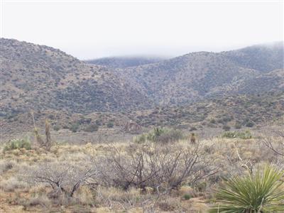 0 South Mulkins Ranch Road Bowie, AZ 85605 - Photo 1 of 1