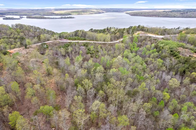 a view of a lake with a mountain
