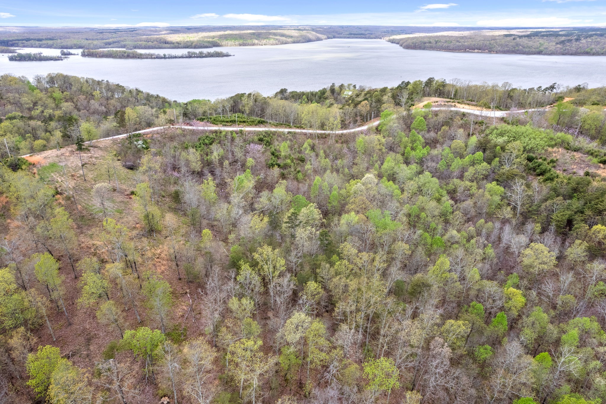 0 Float Lane Waverly, TN 37185 - Photo 11 of 18 a view of a lake with a mountain