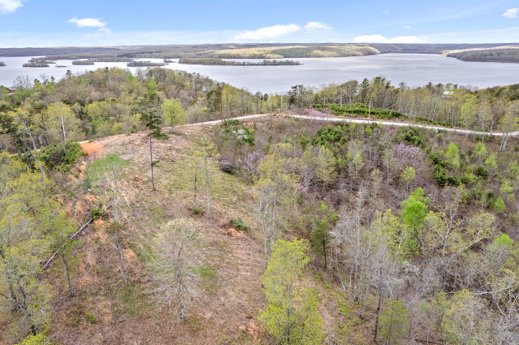 0 Float Lane Waverly, TN 37185 - Photo 12 of 18