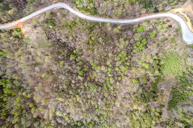 a view of a lake with a mountain