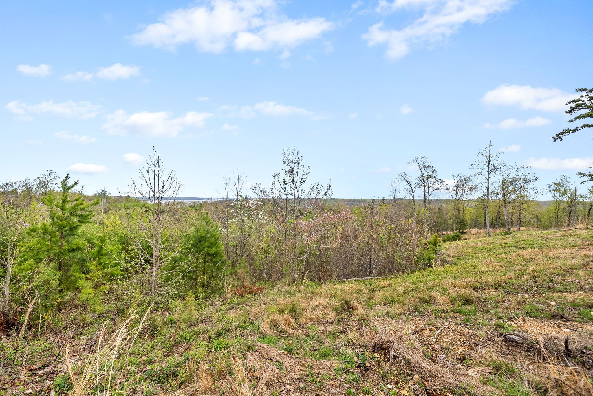 0 Float Lane Waverly, TN 37185 - Photo 16 of 18 a view of a lake with a yard