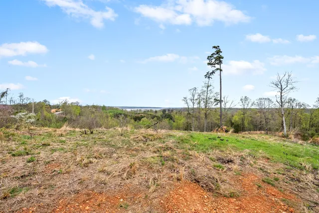 $115,000 | 0 Float Lane, Waverly, TN 37185