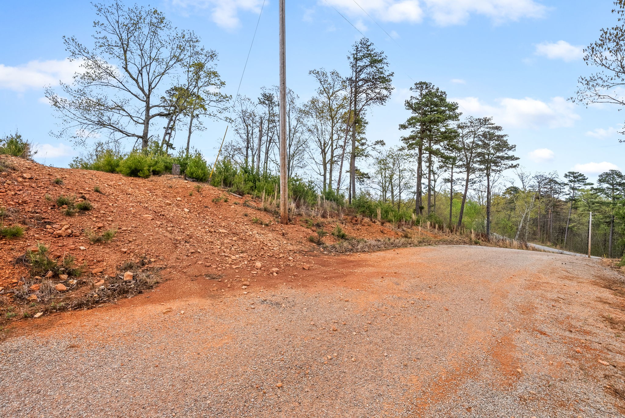 0 Float Lane Waverly, TN 37185 - Photo 18 of 18 a backyard of a house with large trees
