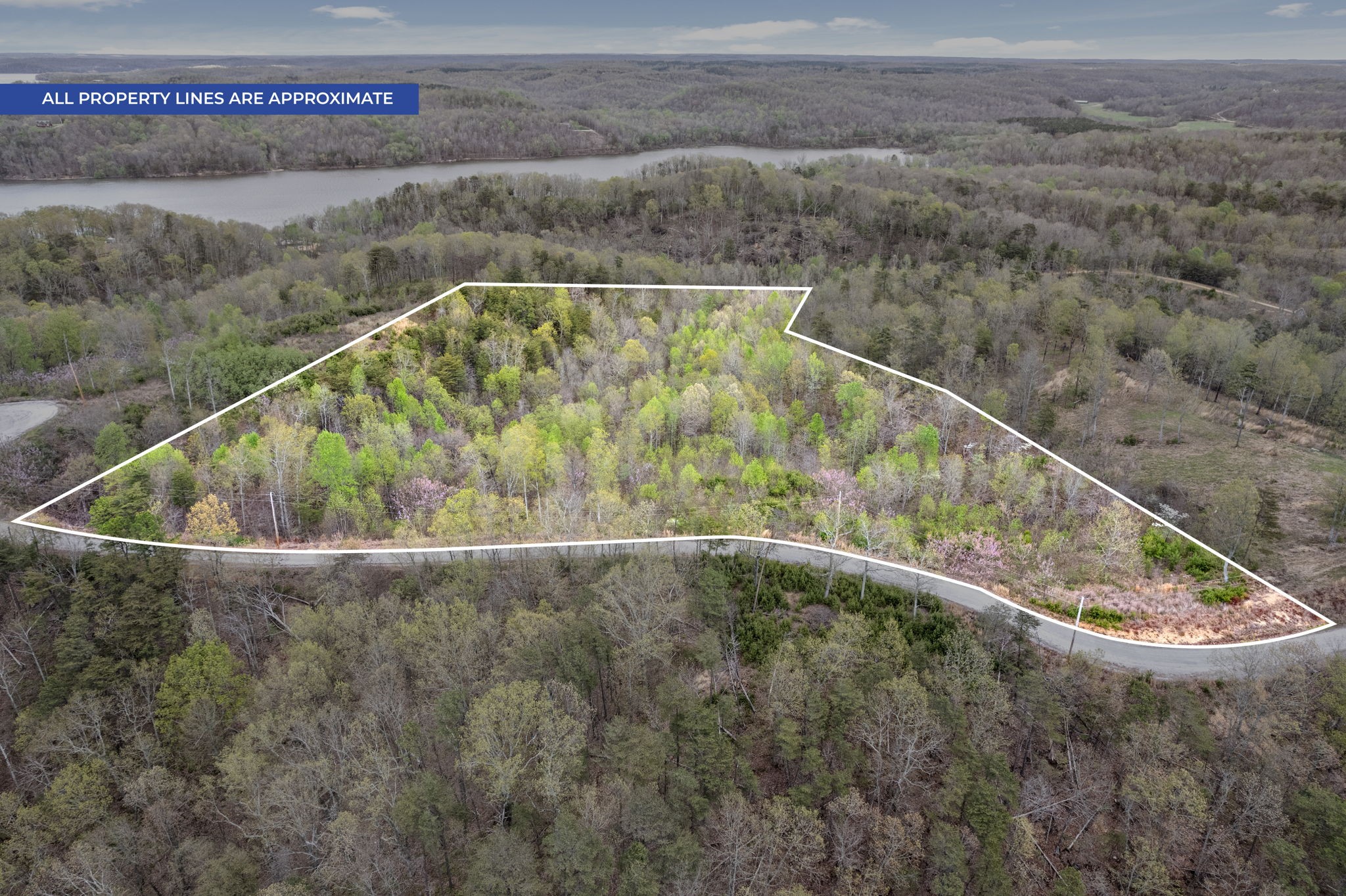 0 Float Lane Waverly, TN 37185 - Photo 2 of 18 a view of outdoor space and garden