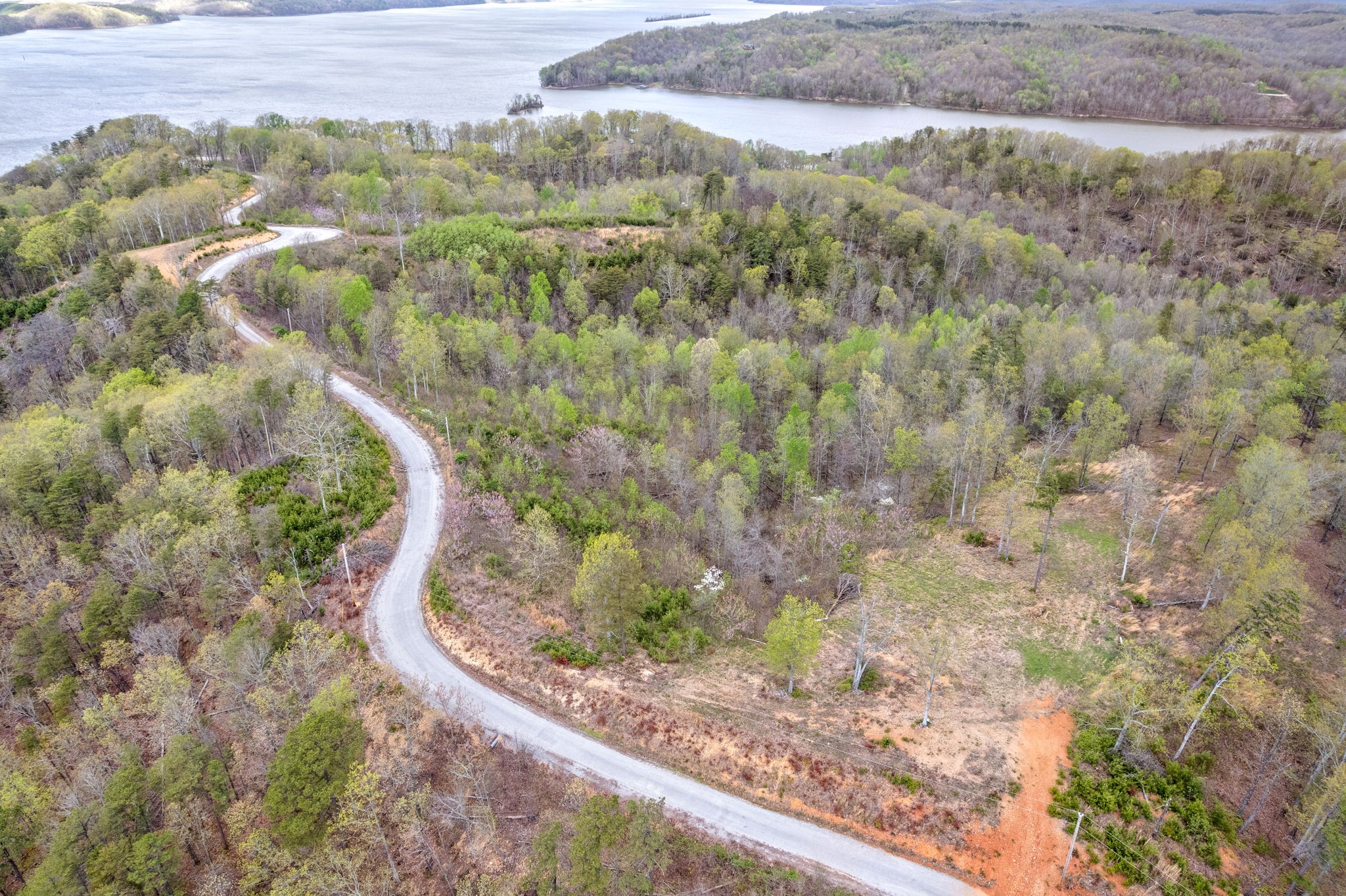 0 Float Lane Waverly, TN 37185 - Photo 3 of 18 a view of a forest with a forest