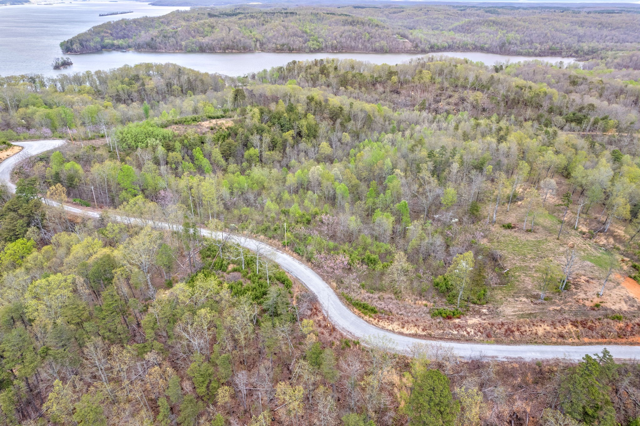 0 Float Lane Waverly, TN 37185 - Photo 4 of 18 a view of a yard