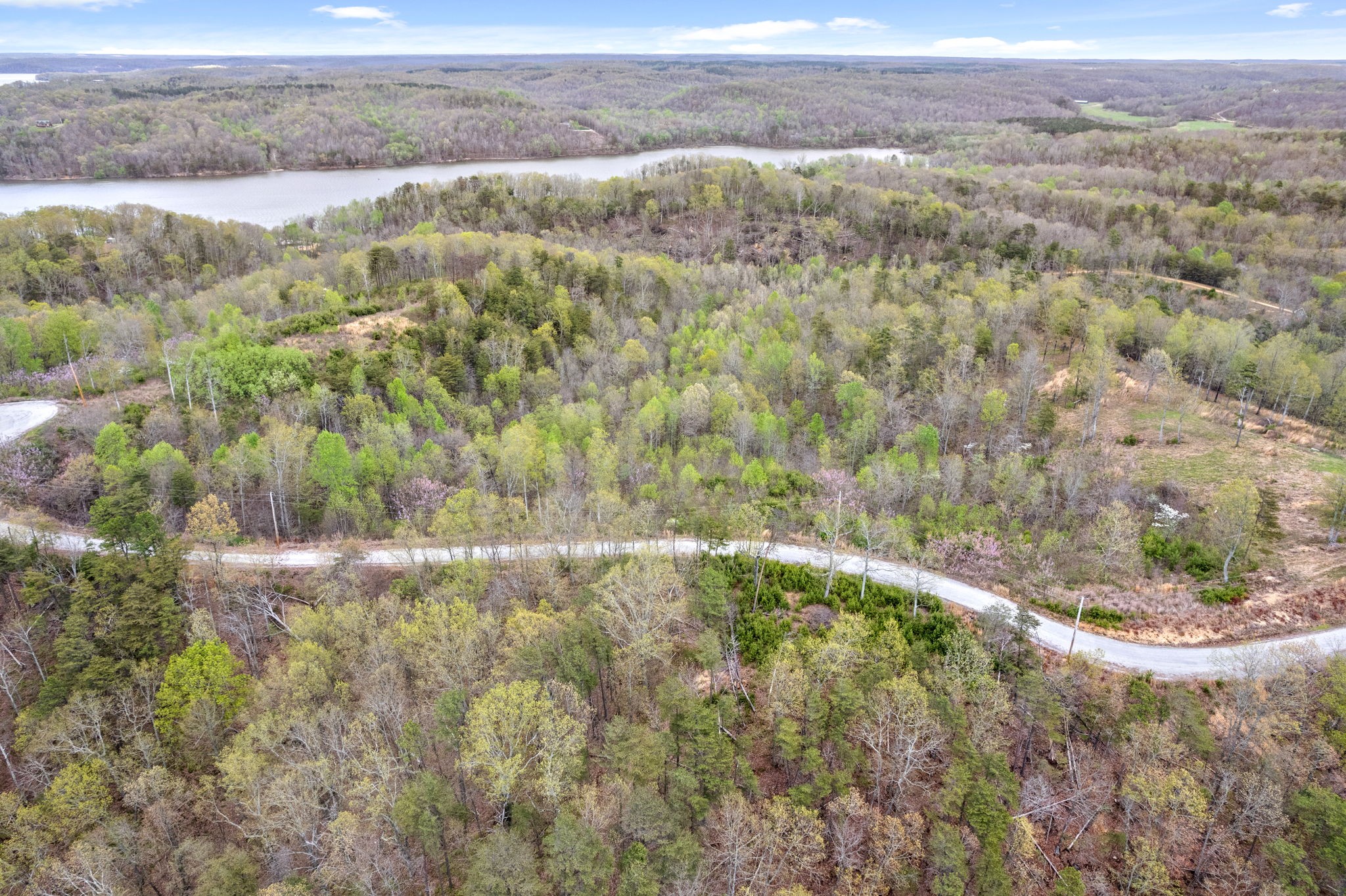 0 Float Lane Waverly, TN 37185 - Photo 5 of 18