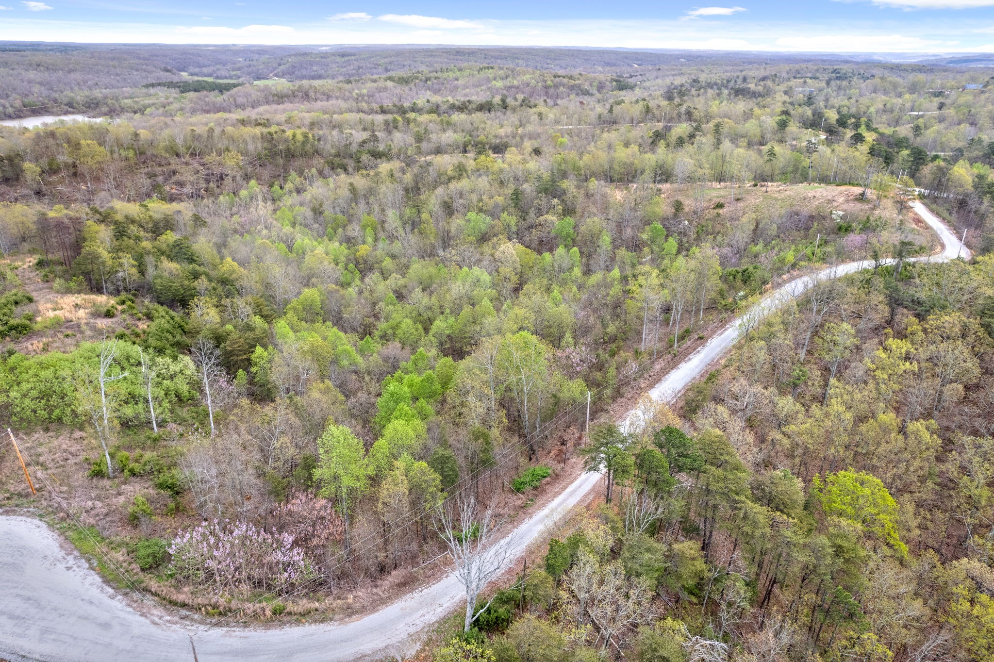 0 Float Lane Waverly, TN 37185 - Photo 6 of 18 a view of a forest with a mountain