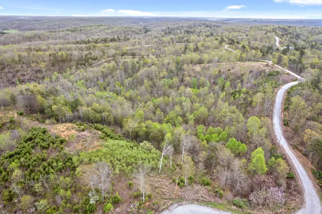 an aerial view of forest