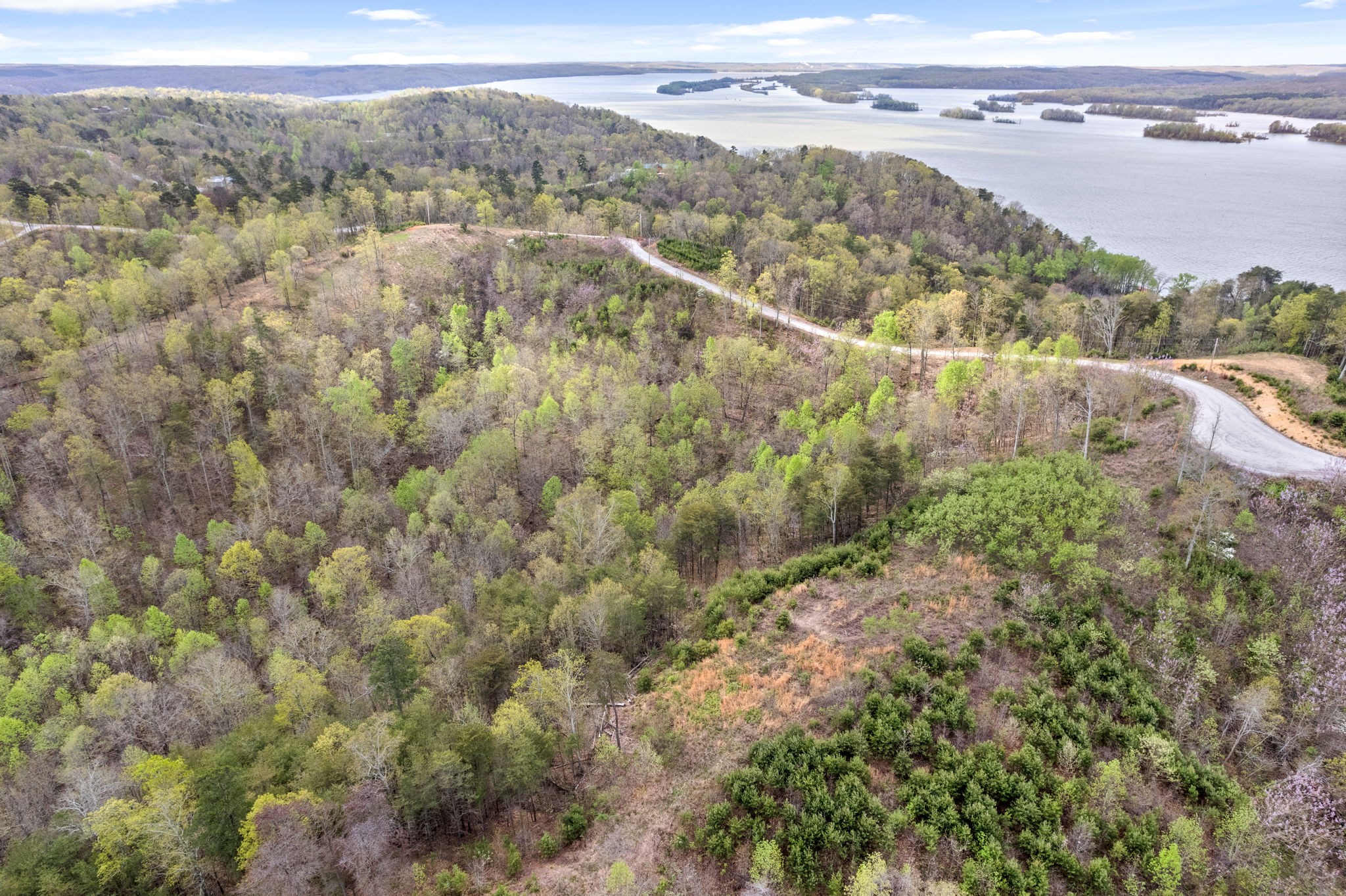 0 Float Lane Waverly, TN 37185 - Photo 8 of 18 an aerial view of forest