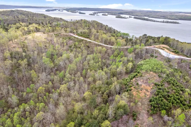 a view of a lake with a mountain