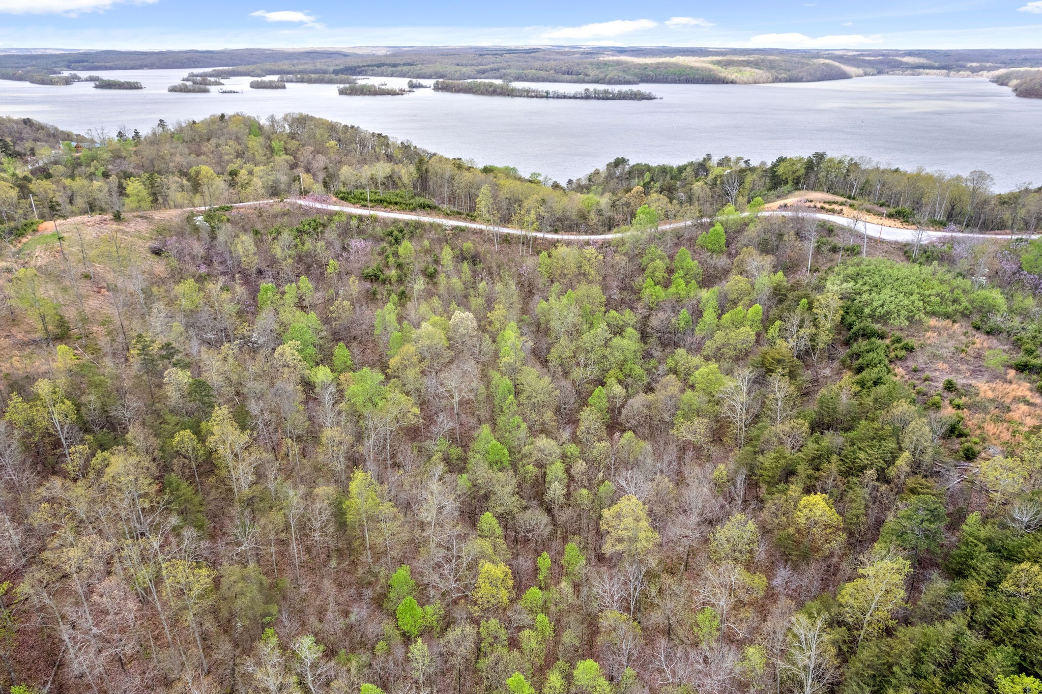 0 Float Lane Waverly, TN 37185 - Photo 10 of 18 a view of a lake with a mountain