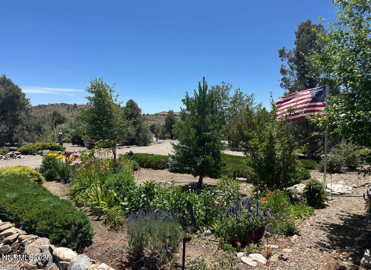 3670 Pine Nut Way Topaz Ranch Estates, NV 89444 - Photo 2 of 74 a view of a garden with plants and trees