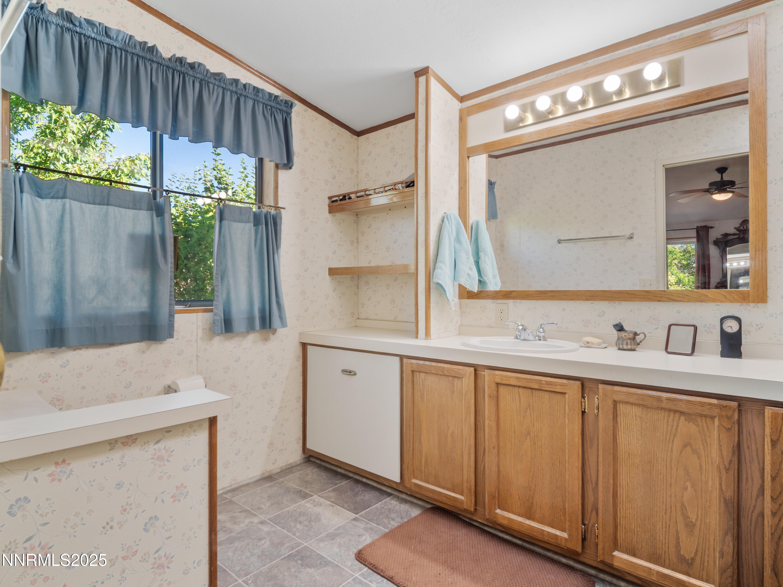 3670 Pine Nut Way Topaz Ranch Estates, NV 89444 - Photo 28 of 74 a bathroom with a sink a vanity and a mirror
