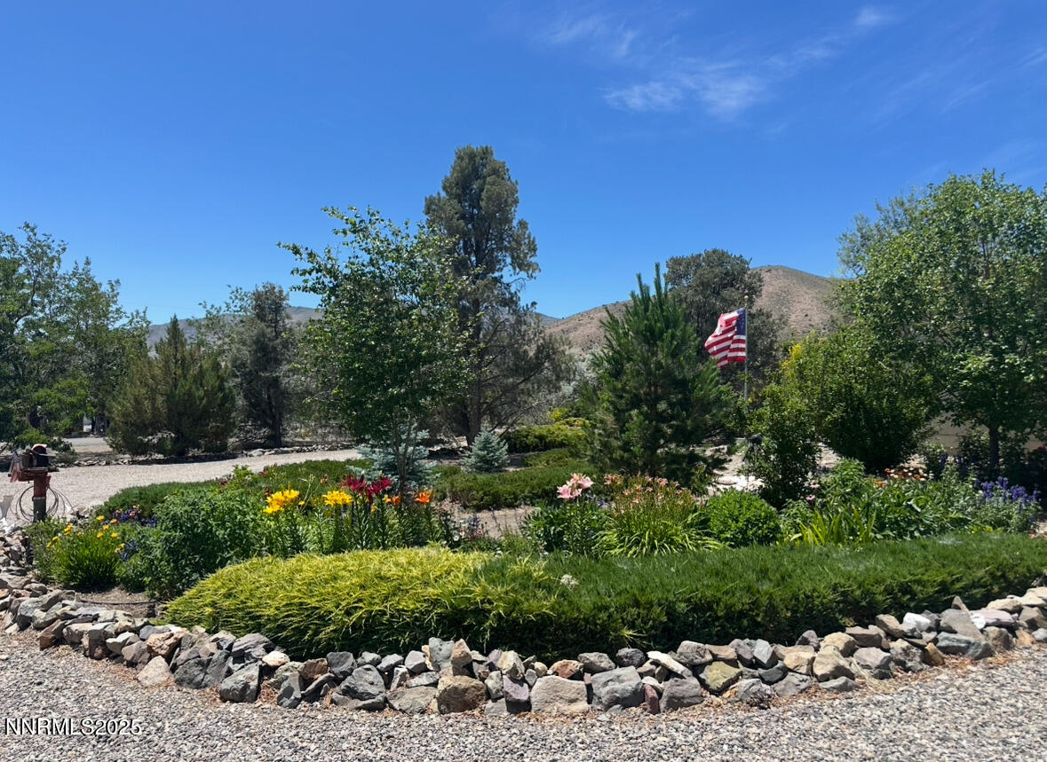 3670 Pine Nut Way Topaz Ranch Estates, NV 89444 - Photo 3 of 74 a view of a garden with a flower garden