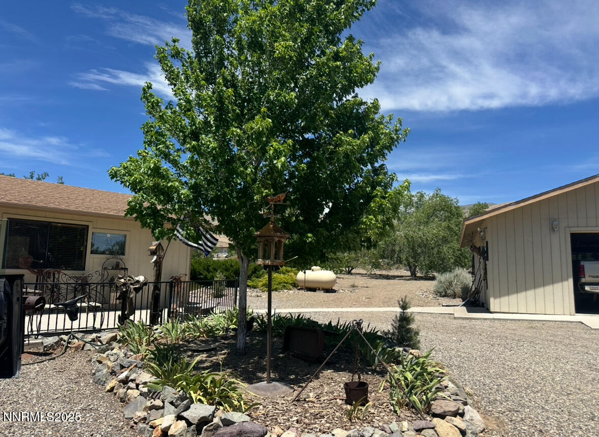 3670 Pine Nut Way Topaz Ranch Estates, NV 89444 - Photo 40 of 74 flowers2