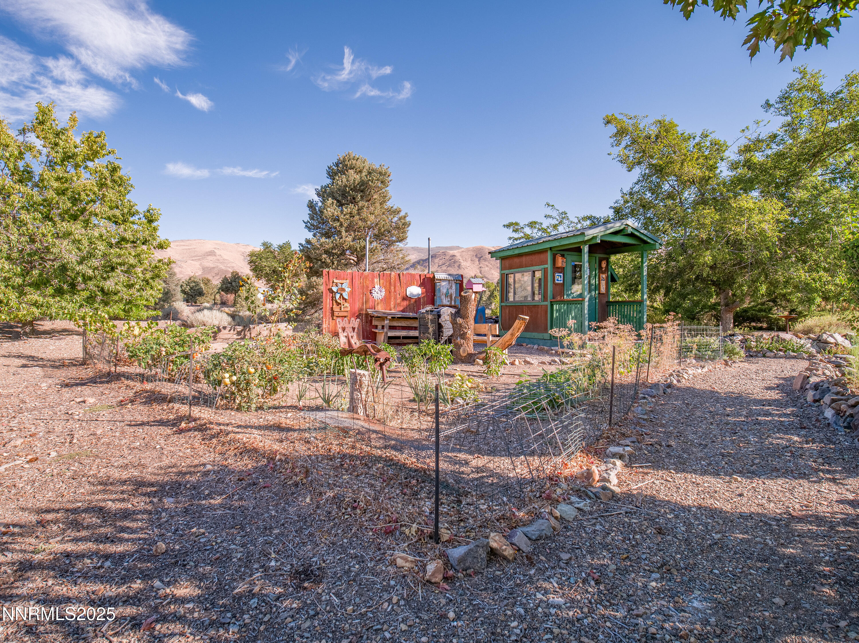 3670 Pine Nut Way Topaz Ranch Estates, NV 89444 - Photo 48 of 74 a view of a house with a yard