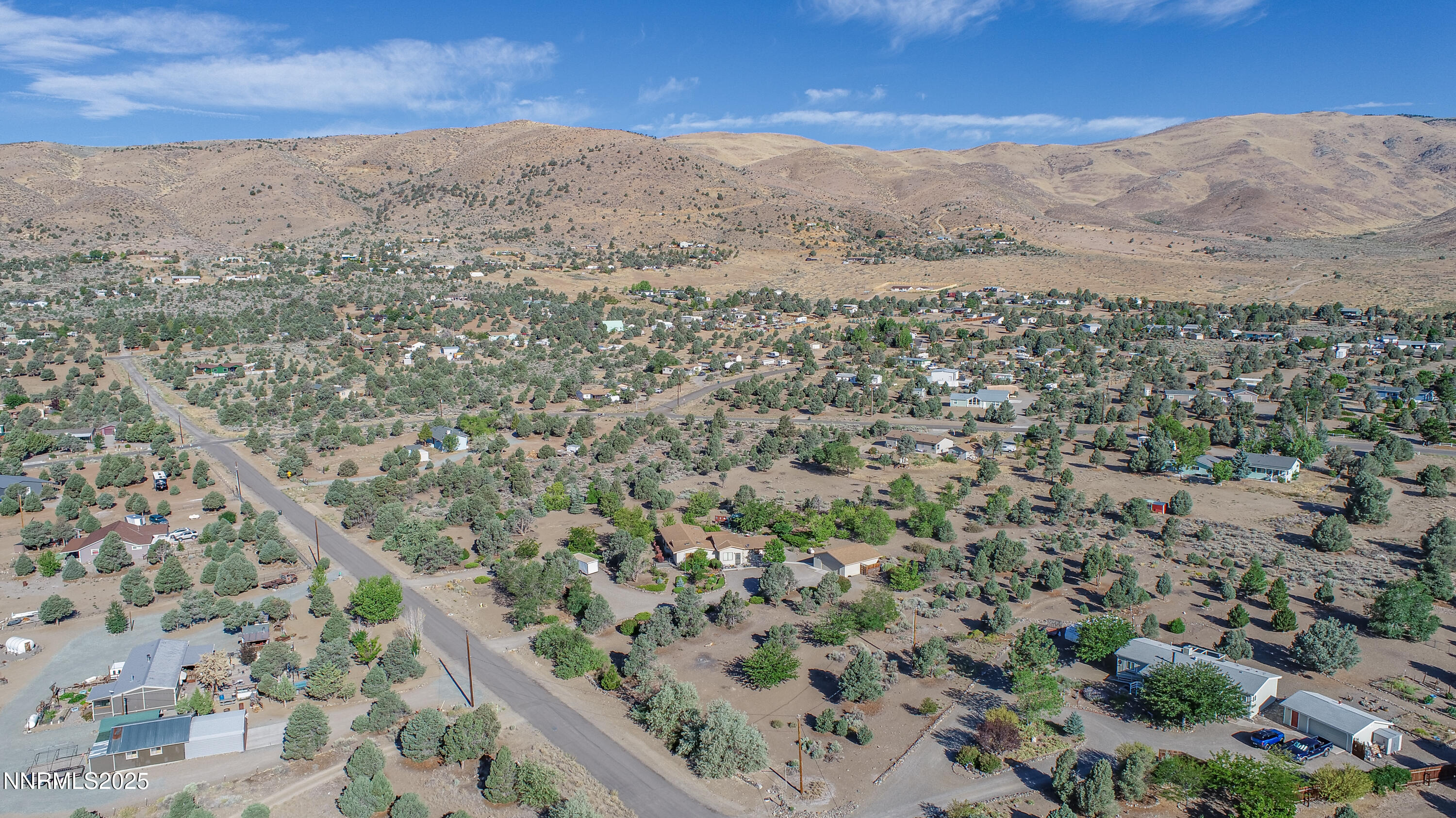3670 Pine Nut Way Topaz Ranch Estates, NV 89444 - Photo 67 of 74 a view of a field with a mountain in the background