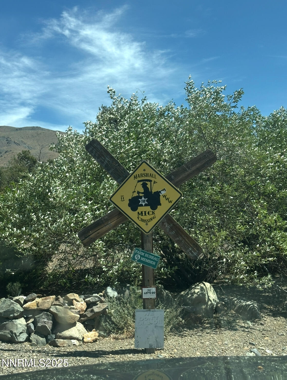 3670 Pine Nut Way Topaz Ranch Estates, NV 89444 - Photo 74 of 74 flowers3