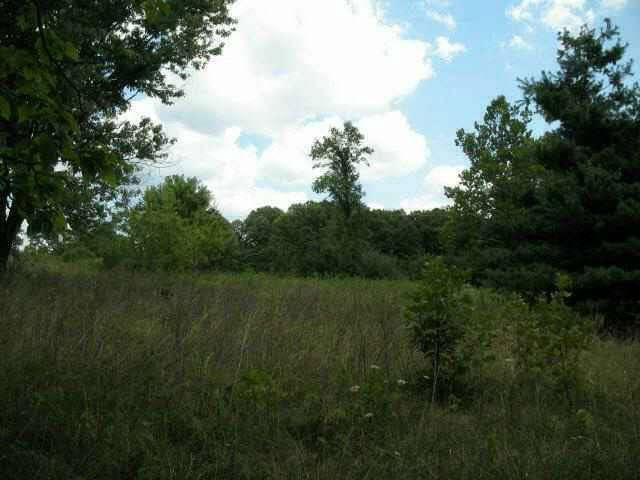 3308 Red Hill Road Taswell, IN 47175 - Photo 4 of 4