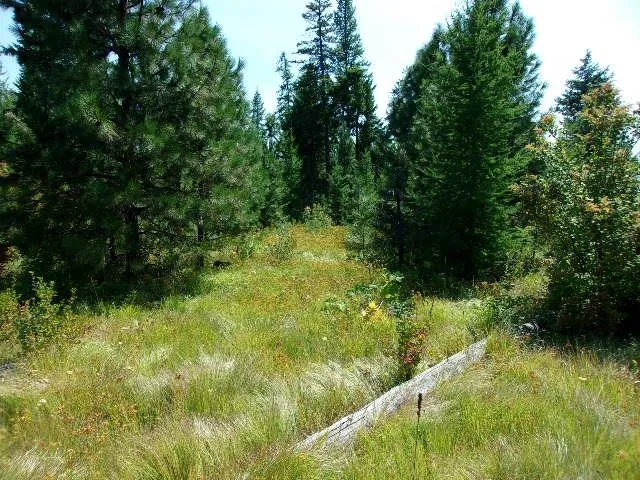 $164,000 | Xx Hoag Road, Valley, WA 99181