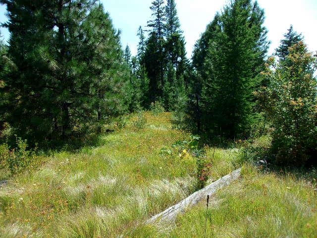 Xx Hoag Road Valley, WA 99181 - Photo 3 of 10