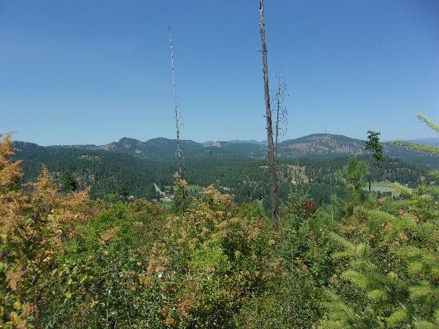 Xx Hoag Road Valley, WA 99181 - Photo 10 of 10