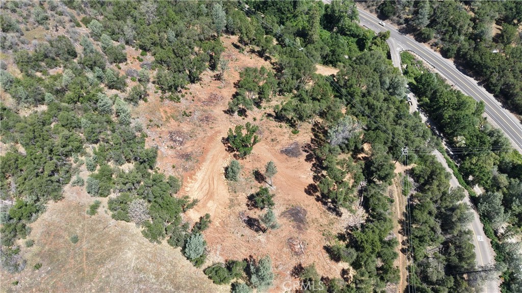 10 Miller Road Mariposa, CA 95338 - Photo 15 of 34 a view of a forest with a plant