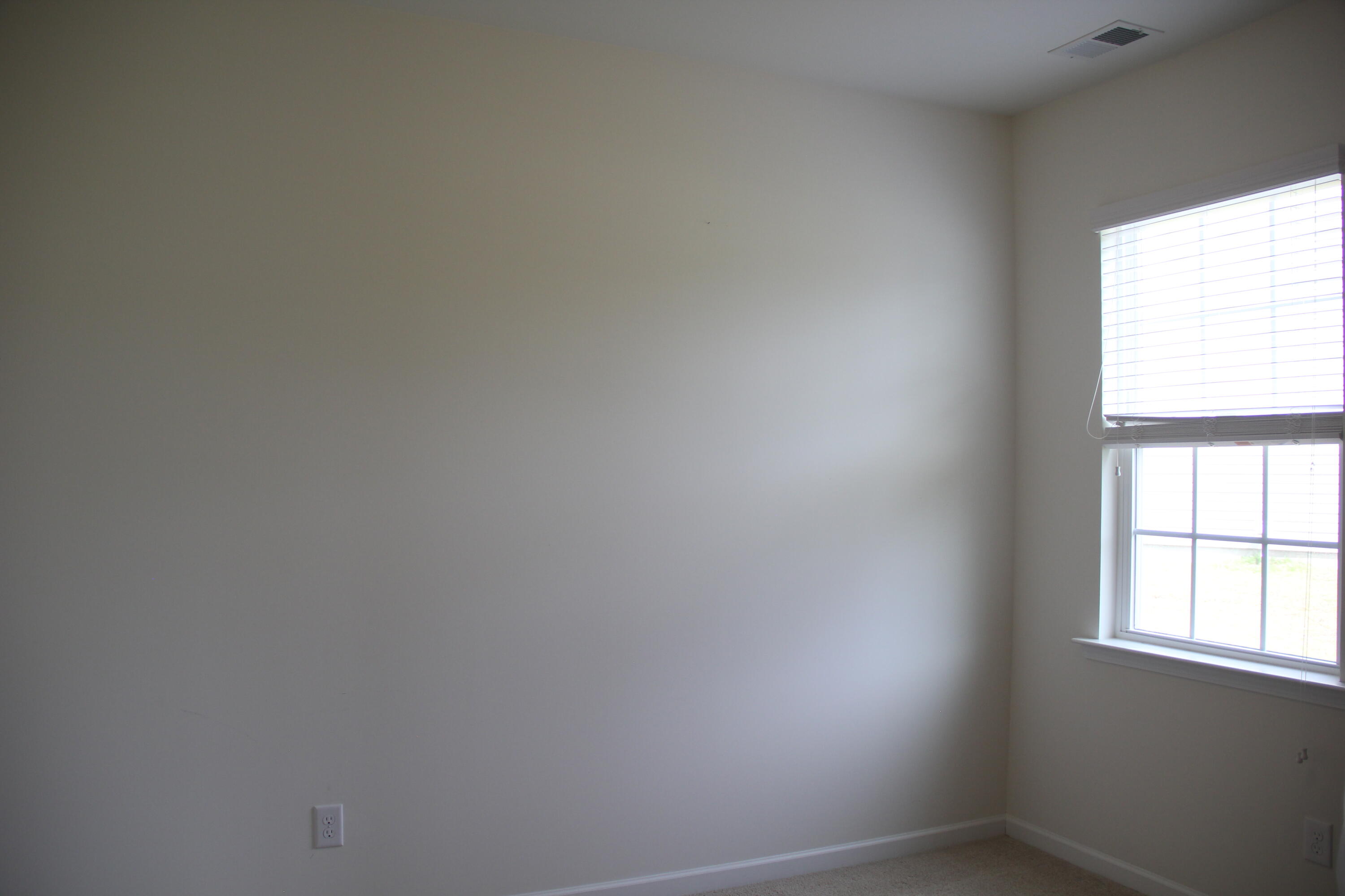 9684 Spencer Woods Road Ladson, SC 29456 - Photo 22 of 23 IMG_0980