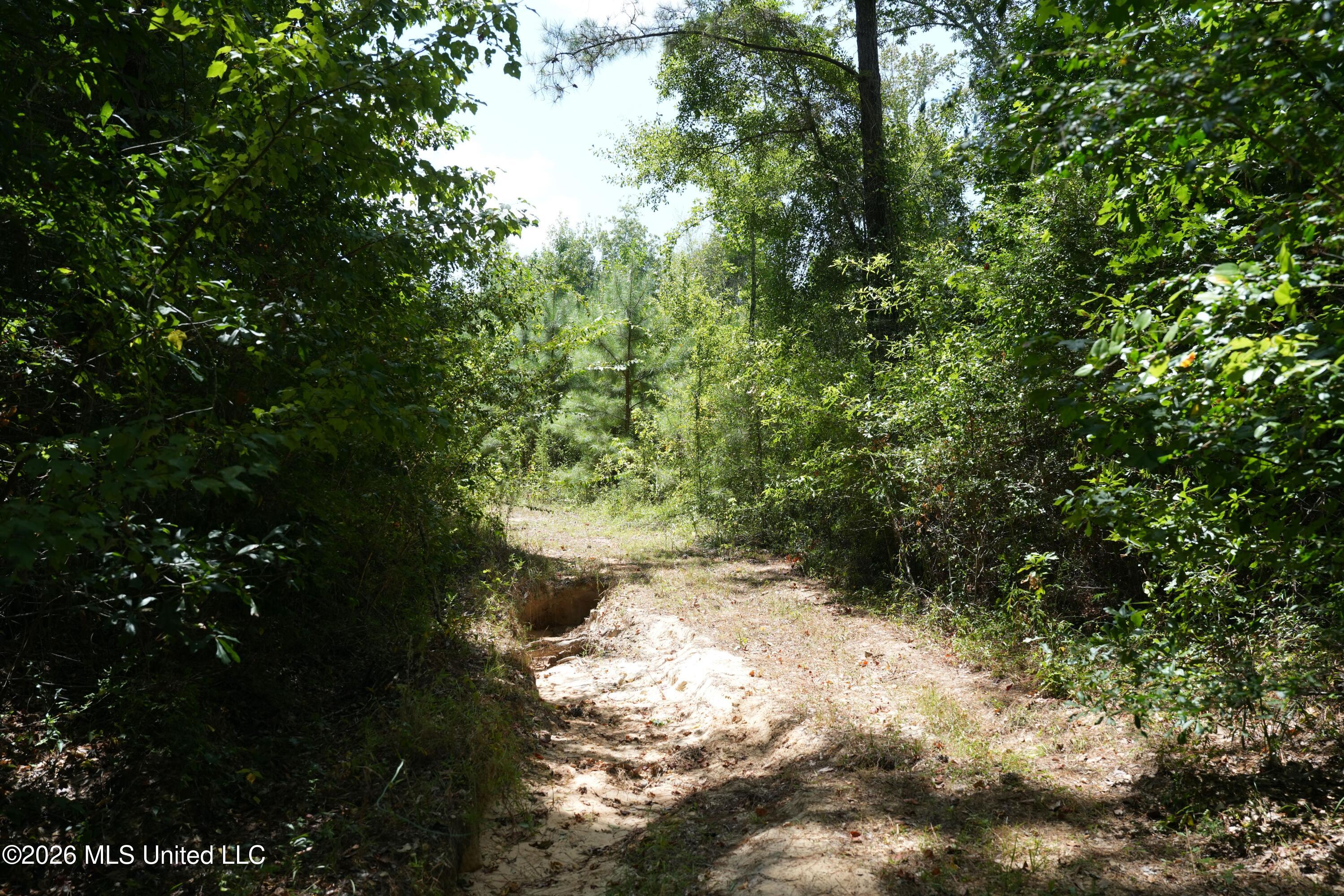 Joe Booth Road Taylorsville, MS 39168 - Photo 15 of 34 DSC04374