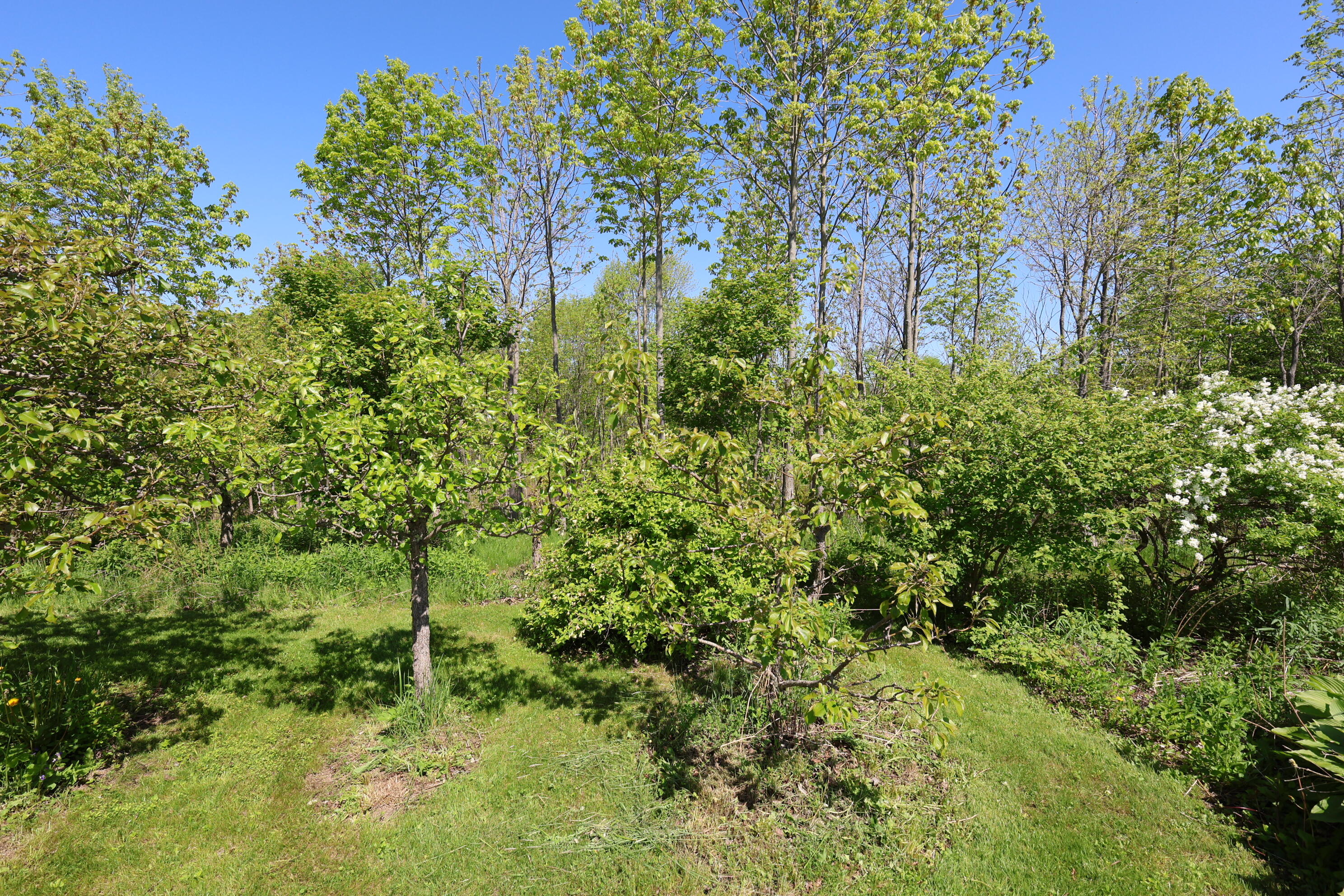 281 Post Road Bowdoinham, ME 04008 - Photo 51 of 104 IMG_2990 1